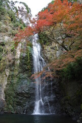 waterfall in autumn forest