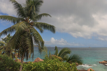 Fototapeta premium Tropisches Paradies La Digue; Blick im Norden der Insel auf das Meer