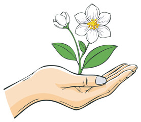Hand holding a budding plant with white flowers and green leaves