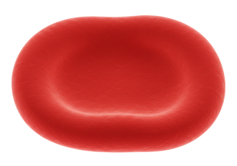 Red blood cell microscopic view human biology medicine science healthcare cell structure anatomy detailed illustration