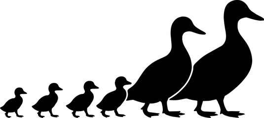 Family of Ducks Walking Together - Animal Silhouette Vector With White Background 