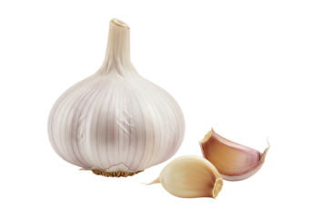 Garlic bulb and cloves white and brown isolated on transparent background food photography culinary ingredient