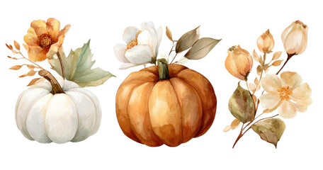 Watercolor pumpkins and flowers in autumnal colors