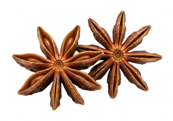 Two star anise pods isolated on transparent background