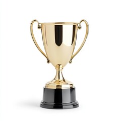 Celebration of achievement trophy display award ceremony content showcase bright setting close-up view success recognition