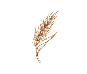 Detailed illustration of a single wheat ear.  A rich, brown wheat spikelet,  intricate design,  isolated on black background
