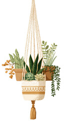 Macrame plant hanger with various succulents