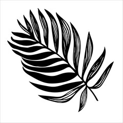 Black and white vector tropical palm leaf design element isolated on white background. Perfect for create fashion apparel fabric, trendy package, bedding, wallpaper, outerwear, print textile.