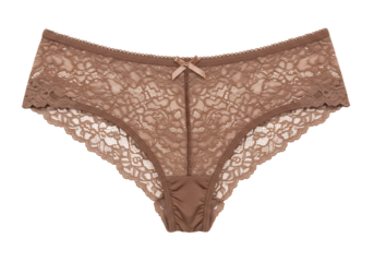 Delicate brown lace panties on transparent background womens underwear intimate apparel soft comfortable lingerie fashion clothing