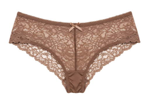 Delicate brown lace panties on transparent background womens underwear intimate apparel soft comfortable lingerie fashion clothing