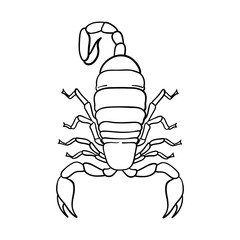 Scorpion top view black lines. Realistic scorpion detachment of arthropods from the class arachnids