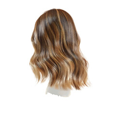 Fototapeta premium Rear View of Wavy Blonde Brown Balayage Hair