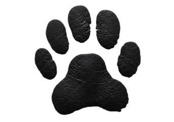 Dark paw print on transparent background animal track graphic
