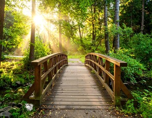 Fototapeta premium Sunny morning in a forest with a wooden bridge