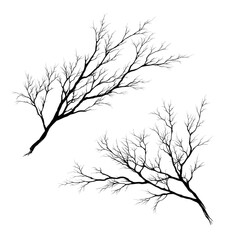 Two stylized, frosted branches against black