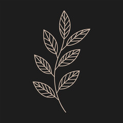 Minimalist botanical leaf line art illustration on dark background, modern elegant nature design for decoration, wallpaper, print.
