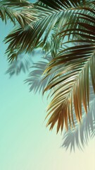 Fototapeta premium Creative visual stock asset - Tropical Palm Tree Leaves with Shadows on Gradient Background, unique design for commercial use in print and digital media projects