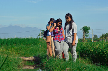 Four teenage girls pause and observe the irrigation canal beside the grassy rice field path, surrounded by morning sunlight and fresh countryside greenery.