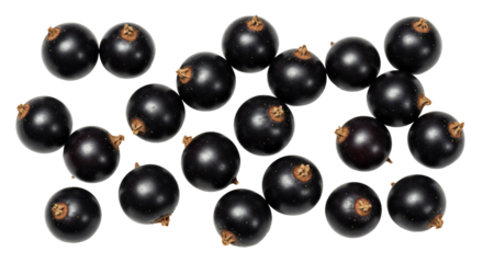 Black currants high angle view scattered on transparent background