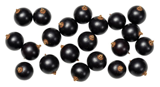 Black currants high angle view scattered on transparent background