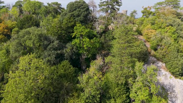 Aerial drone flies over Blaise Castle, Henbury, Bristol. Starting behind trees, it rises to reveal the historic folly before flying overhead, showing surrounding woodland and grassy parkland.