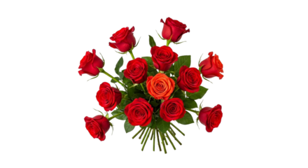 A vibrant bouquet of red roses with one orange rose in the center isolated on transparent background