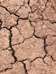 Cracks in soil due to severe drought conditions, North Yorkshire, England, United Kingdom