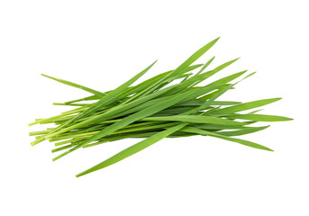 Fototapeta premium Fresh green grass blades on transparent background