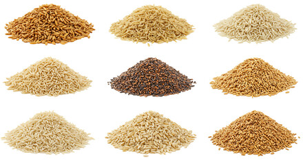Assortment of grains and seeds collection various types of rice wheat and quinoa