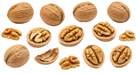 Collection of walnuts whole and shelled isolated on transparent background