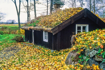 Old wooden croft with autumn leaves in the garden © Lars Johansson