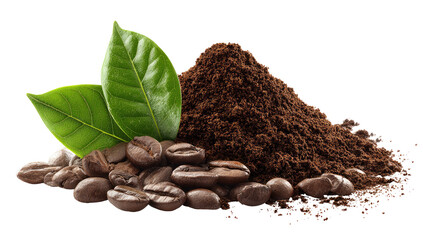 Coffee grounds and beans with leaves