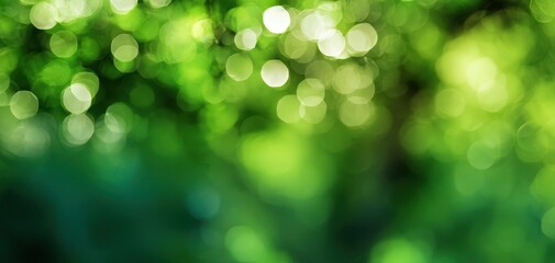 The blurred green foliage creating a serene and vibrant bokeh effect.