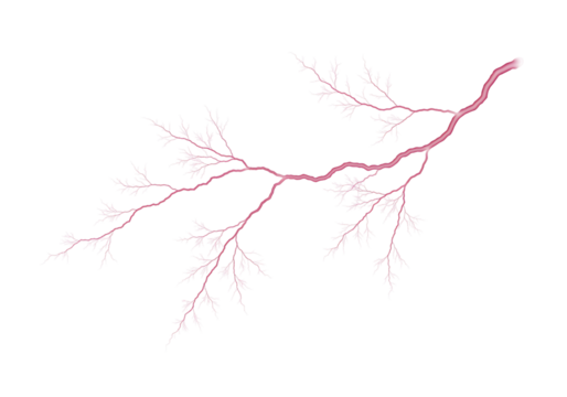 Pink branch with delicate leaves on transparent background