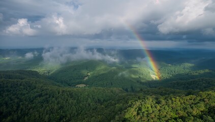 aerial view of lush green forest under vibrant rainbow