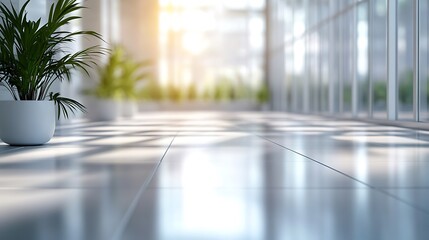 Indoor office space with potted plants and bright light shining through large windows on shiny floor