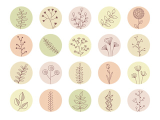Story highlight cover icons with floral design. Delicate botanical compositions with herbs, leaves and flowers on pastel round backgrounds. Decorative collection for natural design. Vector 10 EPS.