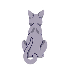 Grey cat sits and wags tail back view. Cute turned away kitten is offended. Behind of relaxing fluffy kitty. Domestic animal, pet backside. Flat isolated vector illustration on white background