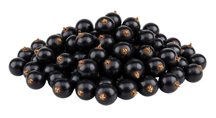 Black currants pile dark berries fruit bunch transparent background food photography