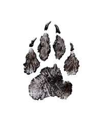 Detailed monochrome wolf paw print