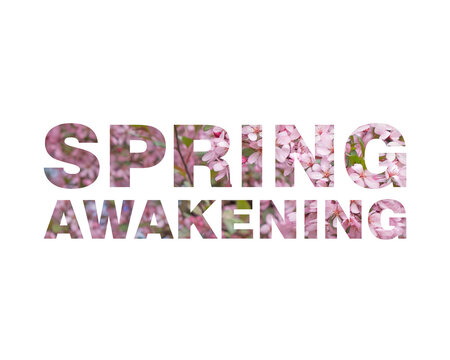 Spring awakening text effect with pink cherry blossoms