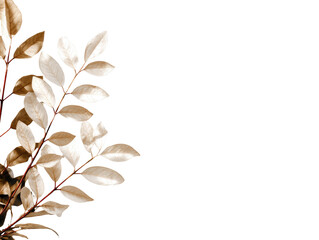 Dried leaves in warm sepia tones,  clustered on branches, against a black background