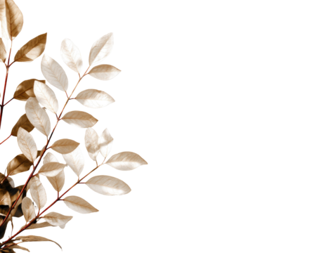 Dried leaves in warm sepia tones,  clustered on branches, against a black background