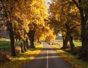 Naklejka premium Golden Canopy Road Captivating Autumn Avenue Lined with Trees in Warm Sunlight