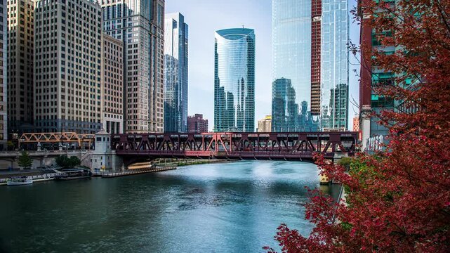Chicago River Flowing Through Downtown Skyscraper District Timelapse