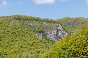 A mountain range with a lush green forest and a clear blue sky