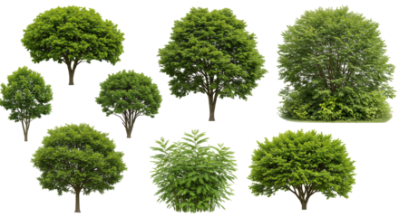 Green trees shrubs plants nature collection isolated transparent background