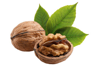 Two walnuts, one whole and one halved, with fresh green leaves