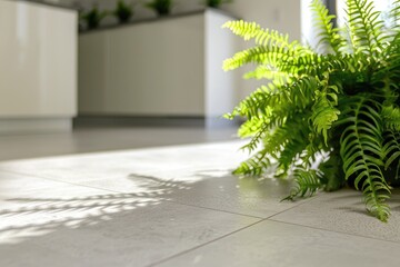 High Definition Picture of Green Ferns Come Up on the Kitchen Floor