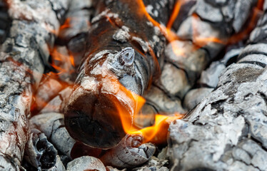 A log is burning in a fire, and the flames are licking the bark
